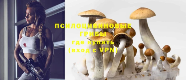 стафф Арсеньев