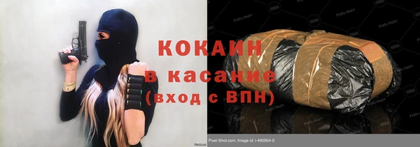 прущие грибы Надым