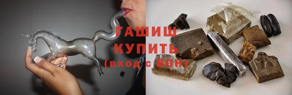 гашик Алексин