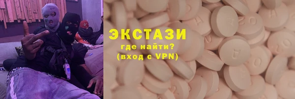 гашик Алексин