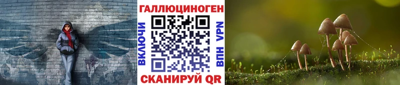 Галлюциногенные грибы мухоморы даркнет какой сайт Радужный